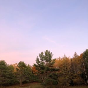 Meet your Posher, Faith